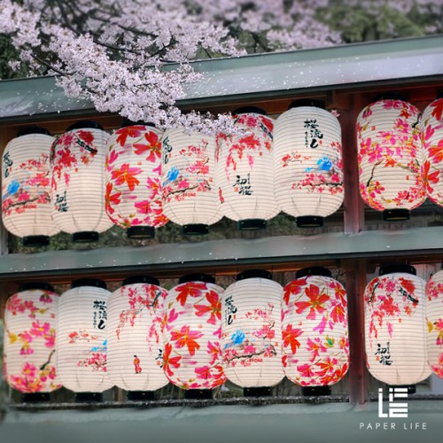 Paper Life - Japanese Style Cherry Blossom Paper Lanterns - Handmade Original Design - Ideal for Home Décor - Wedding Decorations - Photography Props - Bedroom Chandelier - Foldable and Easy to Assemb
