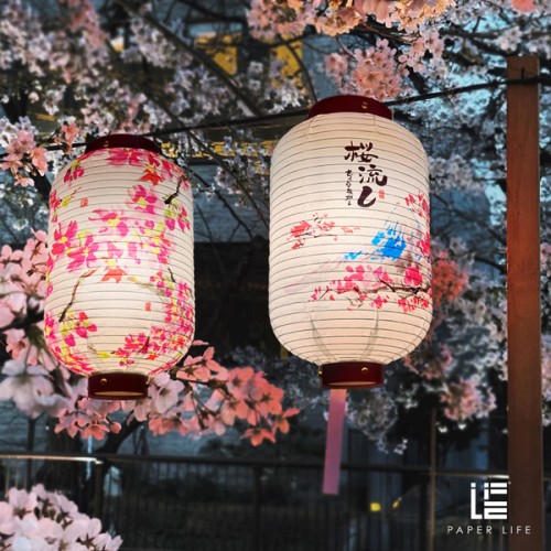 Paper Life - Japanese Style Cherry Blossom Paper Lanterns - Handmade Original Design - Ideal for Home Décor - Wedding Decorations - Photography Props - Bedroom Chandelier - Foldable and Easy to Assemb